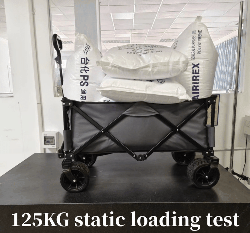 125kg static loading test-min 125kg static loading test-min